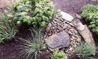 Regnbed med planter og sten